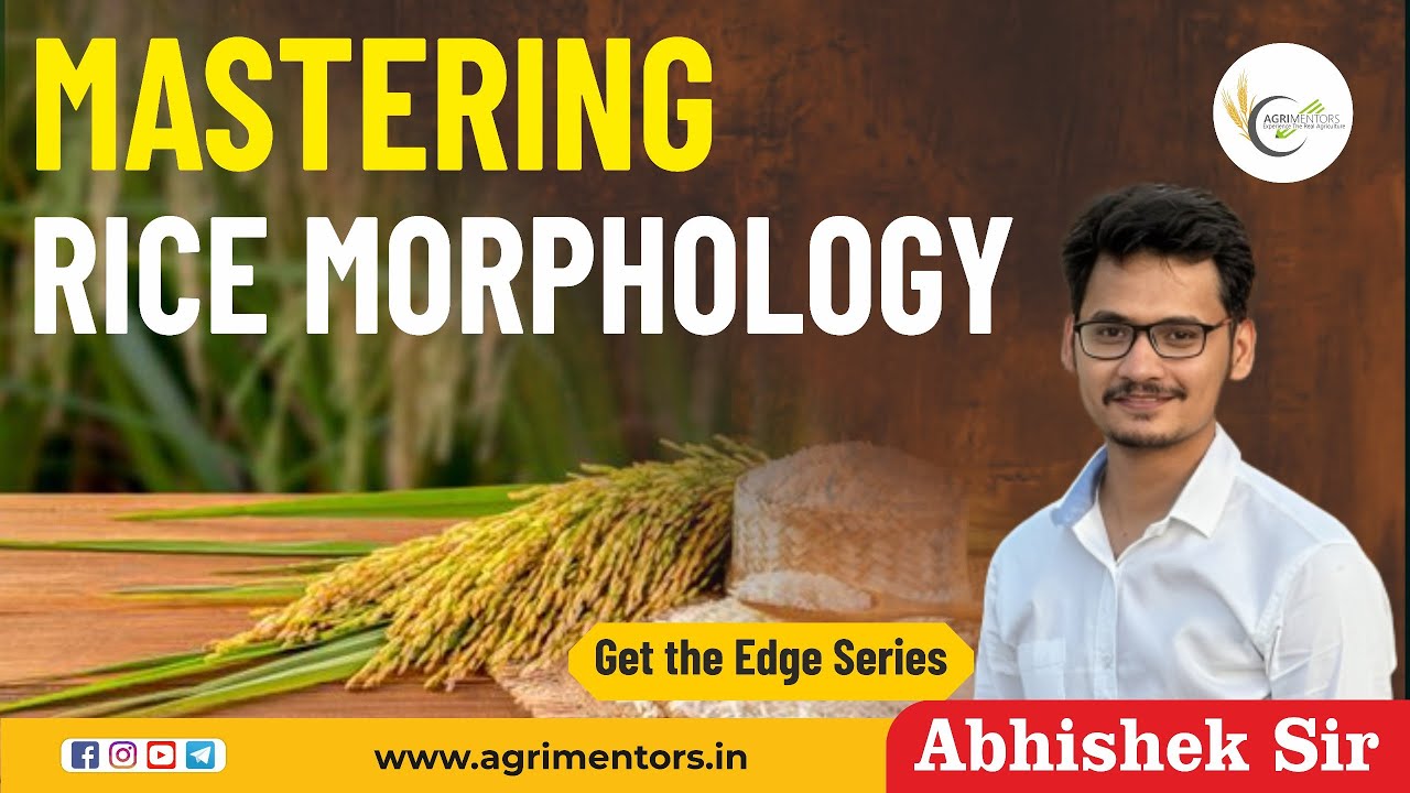 Mastering Rice Morphology | Get the Edge Series |
